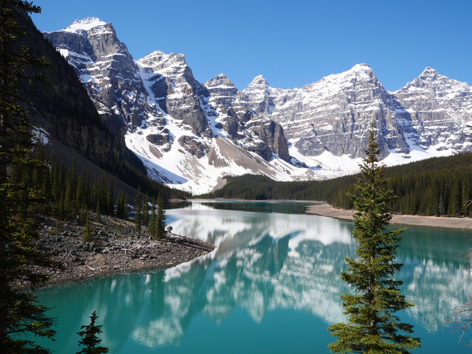 A turquoise glacial lake below a row of snow-covered peaks, with pines in the foreground.