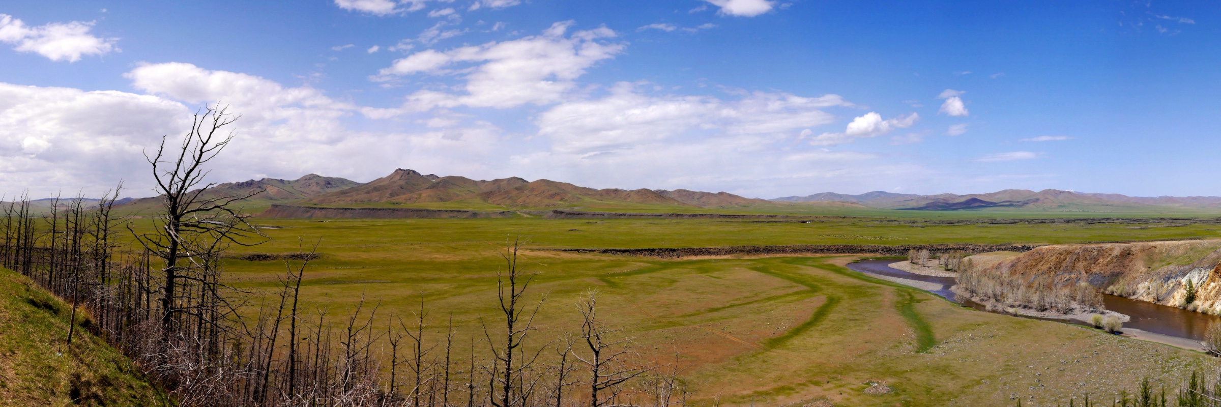 A river winding through green steppe towards distant hills, framed by bare trees.