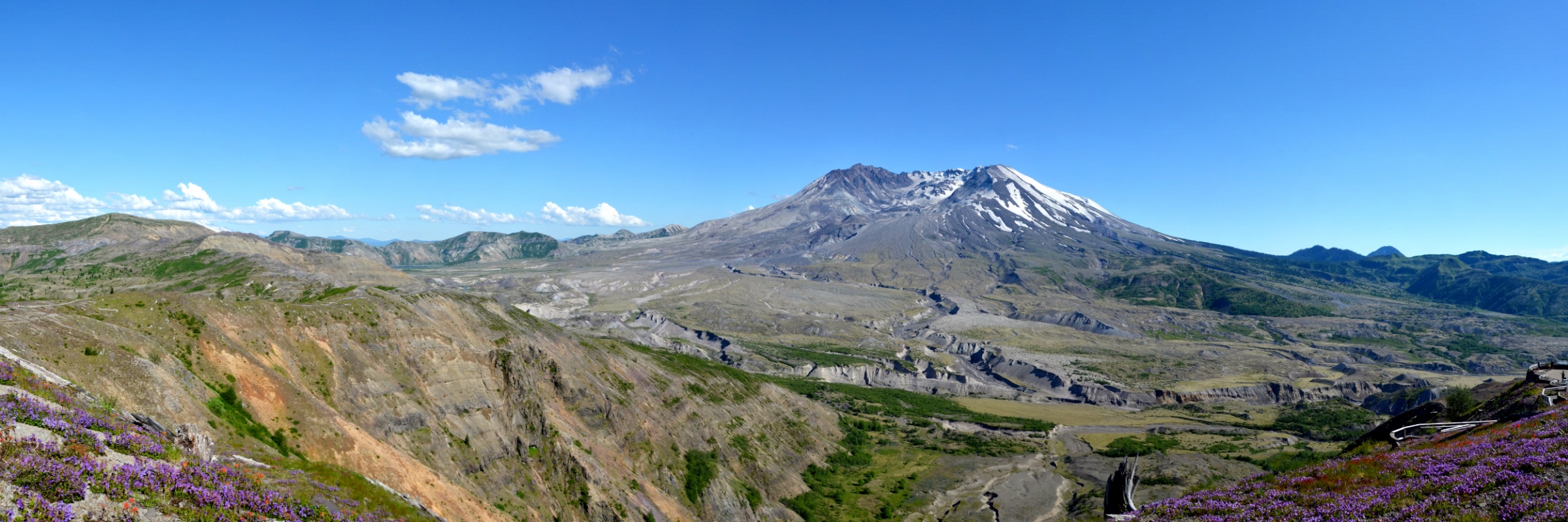 The breached crater of Mount St. Helens above the pumice plain, with lupines in the foreground.